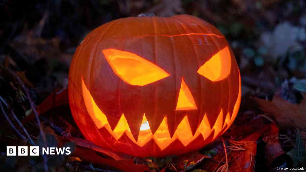 Halloween fans warned over scarefest scam