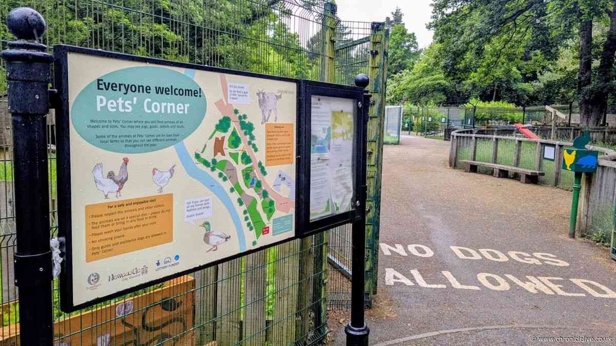 Jesmond family attraction to be closed Monday to Friday for 10 weeks for essential work