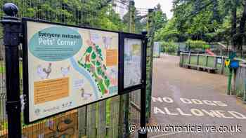 Jesmond family attraction to be closed Monday to Friday for 10 weeks for essential work
