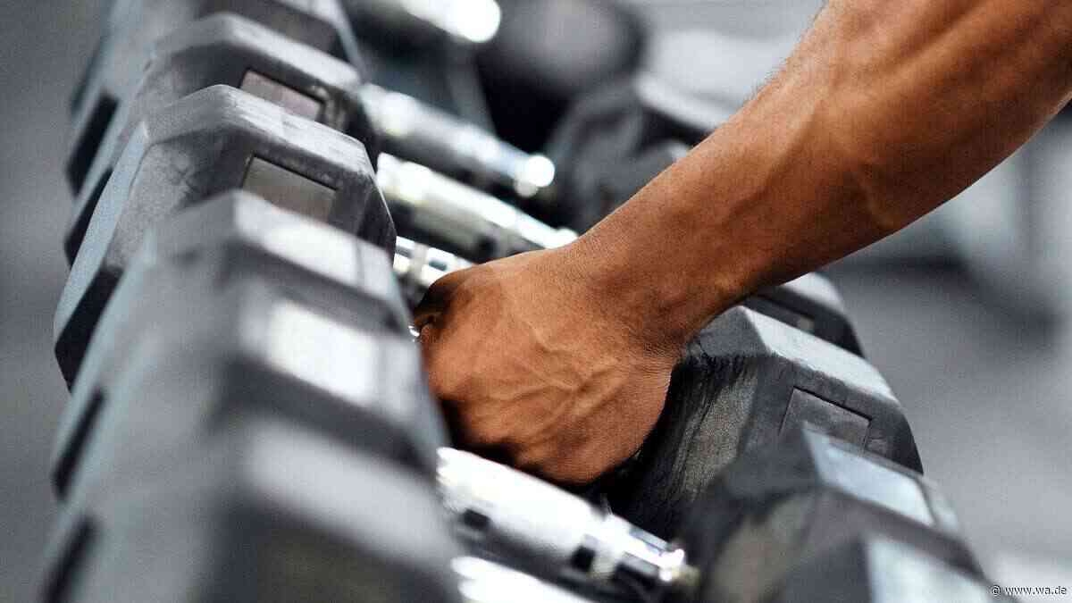 Krafttraining lässt schon nach 7 Tagen Fettzellen schrumpfen – zumindest bei Mäusen