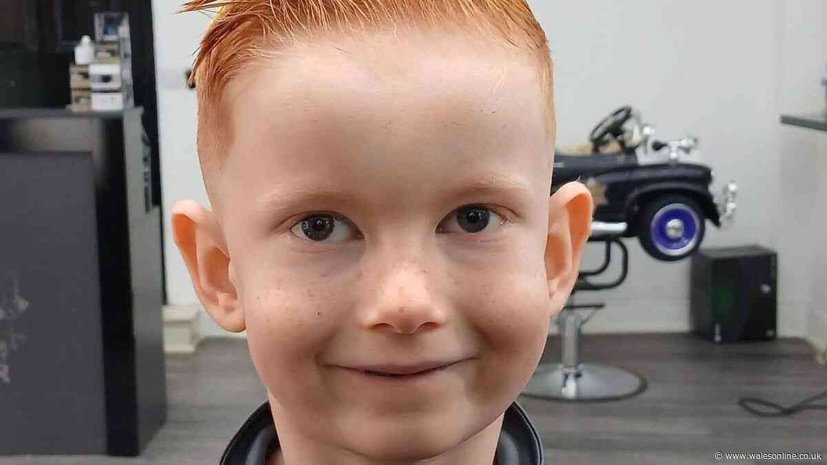 Boy died after falling from his bike into path of oncoming van