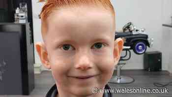 Boy died after falling from his bike into path of oncoming van