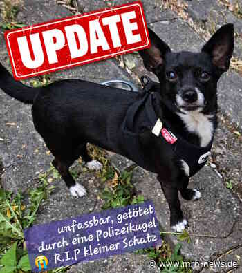 Ludwigshafen – UPDATE – Polizei erschießt Chihuahua: Hundehalter war nicht der gesuchte Tatverdächtige – Ermittlungen zum Schuss