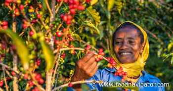 Could conflict in Ethiopia threaten coffee?