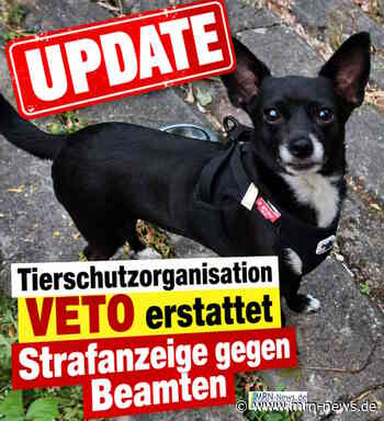 Ludwigshafen – Chihuahua von Polizei erschossen: Tierschutzorganisation VETO erstattet Strafanzeige gegen Beamten