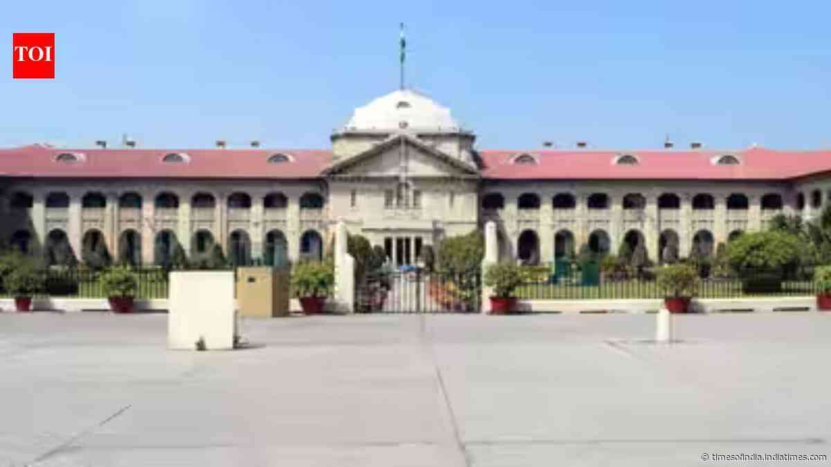 'Advance injustice': Allahabad HC flags POCSO Act's rigid application in minor couple cases