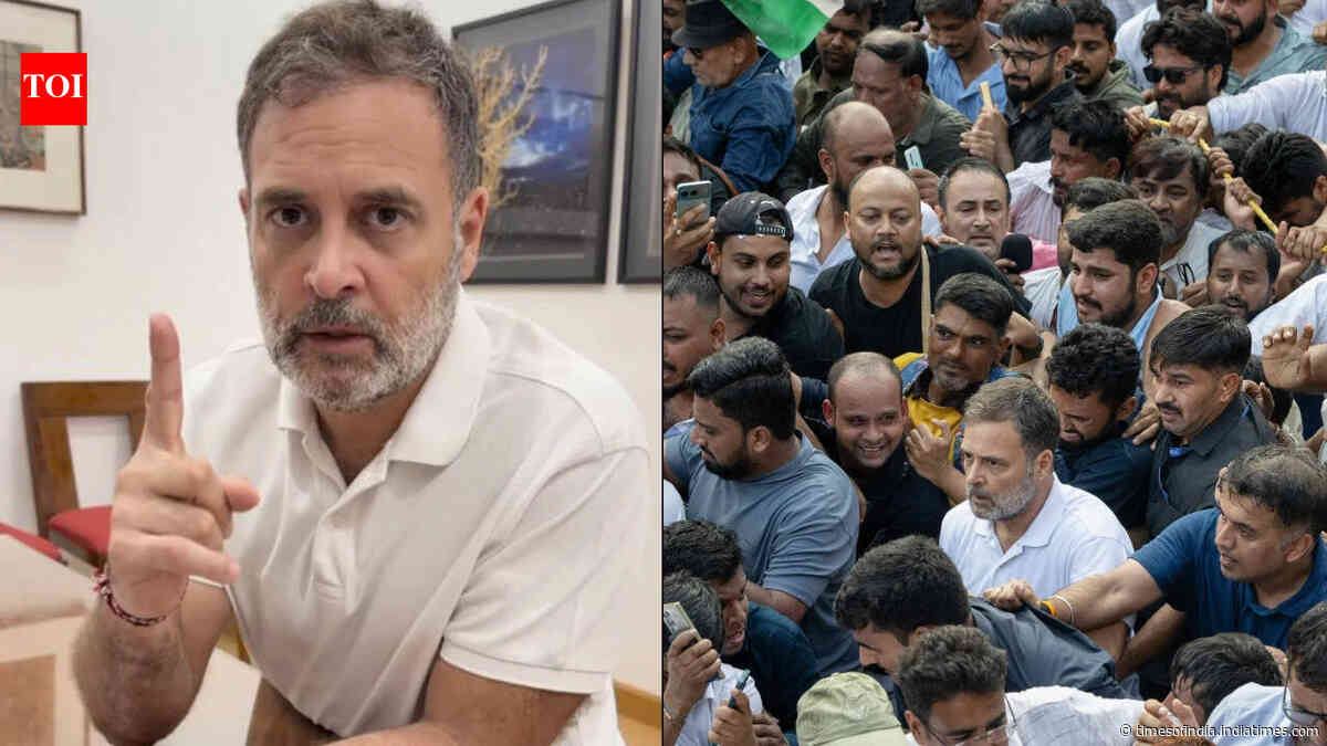 'Cannot beat us, threaten us, frighten us': Rahul Gandhi thanks protesters after INDIA bloc march to SC
