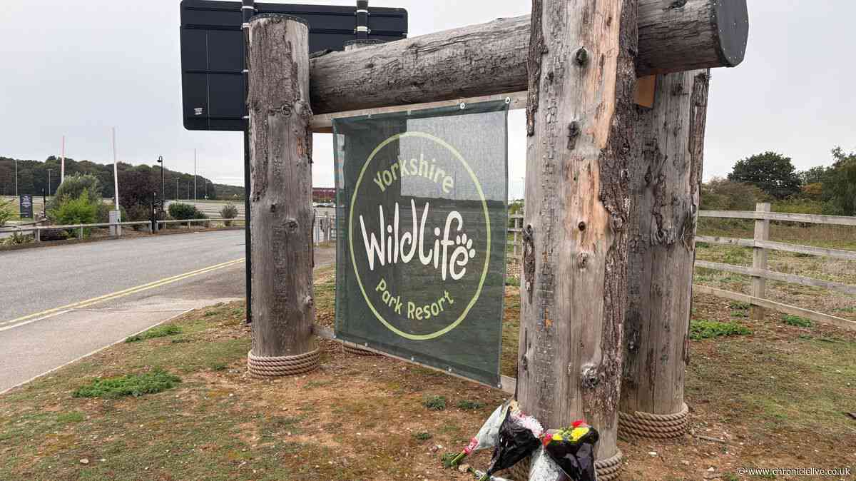 Health and safety probe launched after fatal tiger attack at Yorkshire Wildife Park