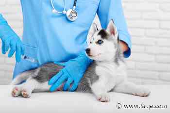 Local animal hospital partners to hold low cost shot clinic