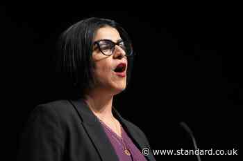 Security of politicians and royals to be urgently reviewed, Shabana Mahmood says
