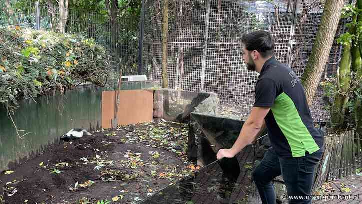 Dierenpark in nood, Brabanders in Expeditie Robinson: dit gebeurde vandaag