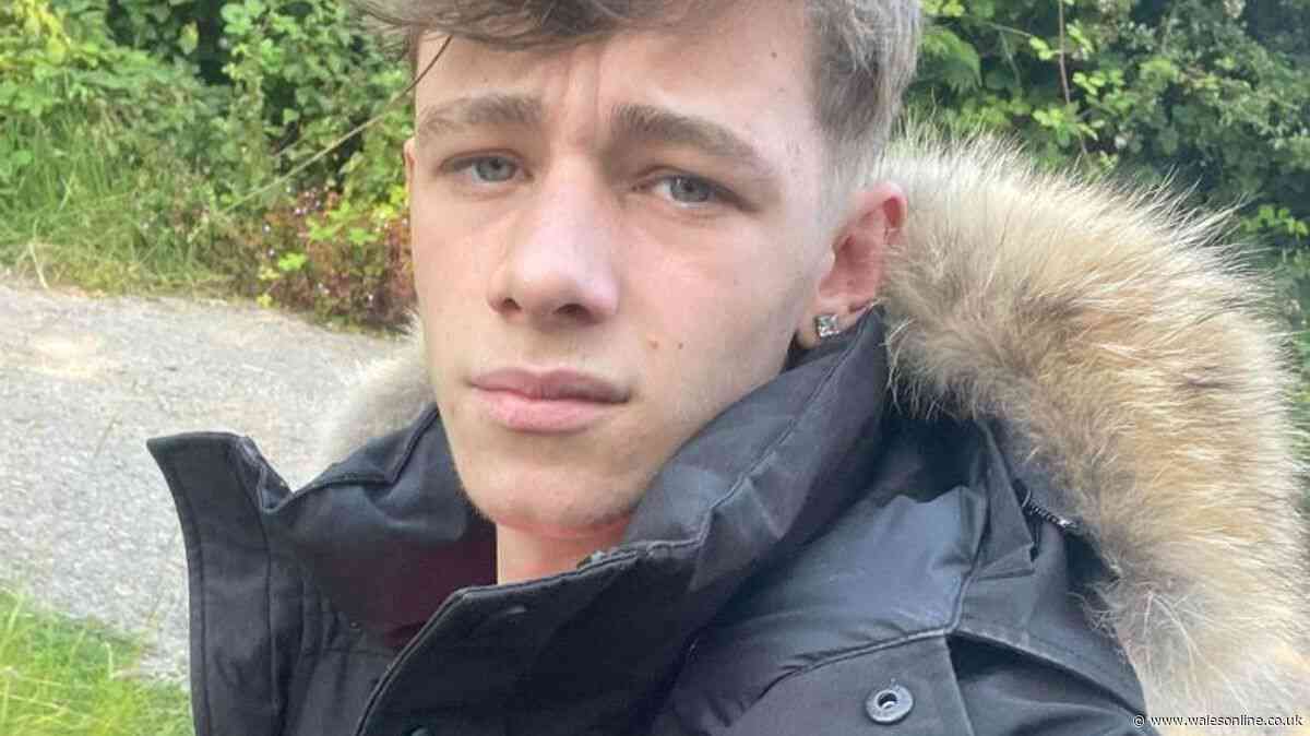 Friend's heartbreak as he realised 'Rambo-knife' stab victim Tristan Kerr was dying in his arms