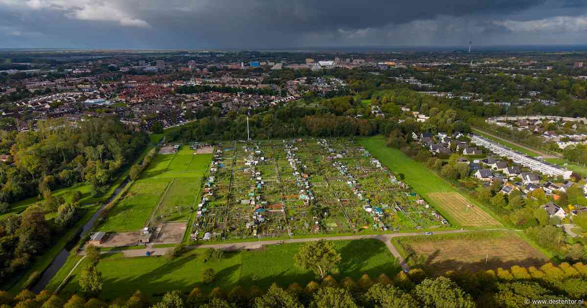 Zo botst de zoektocht naar woonwagenplekken in Lelystad met de liefde voor stadsgroen