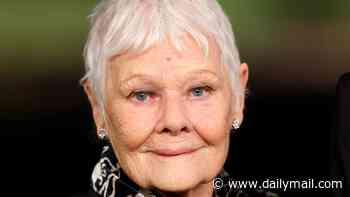 Judi Dench, 91, says trigger warnings have 'gone too far' and are 'mollycoddling' audiences as she says 'if you're that sensitive, don't go to the theatre'