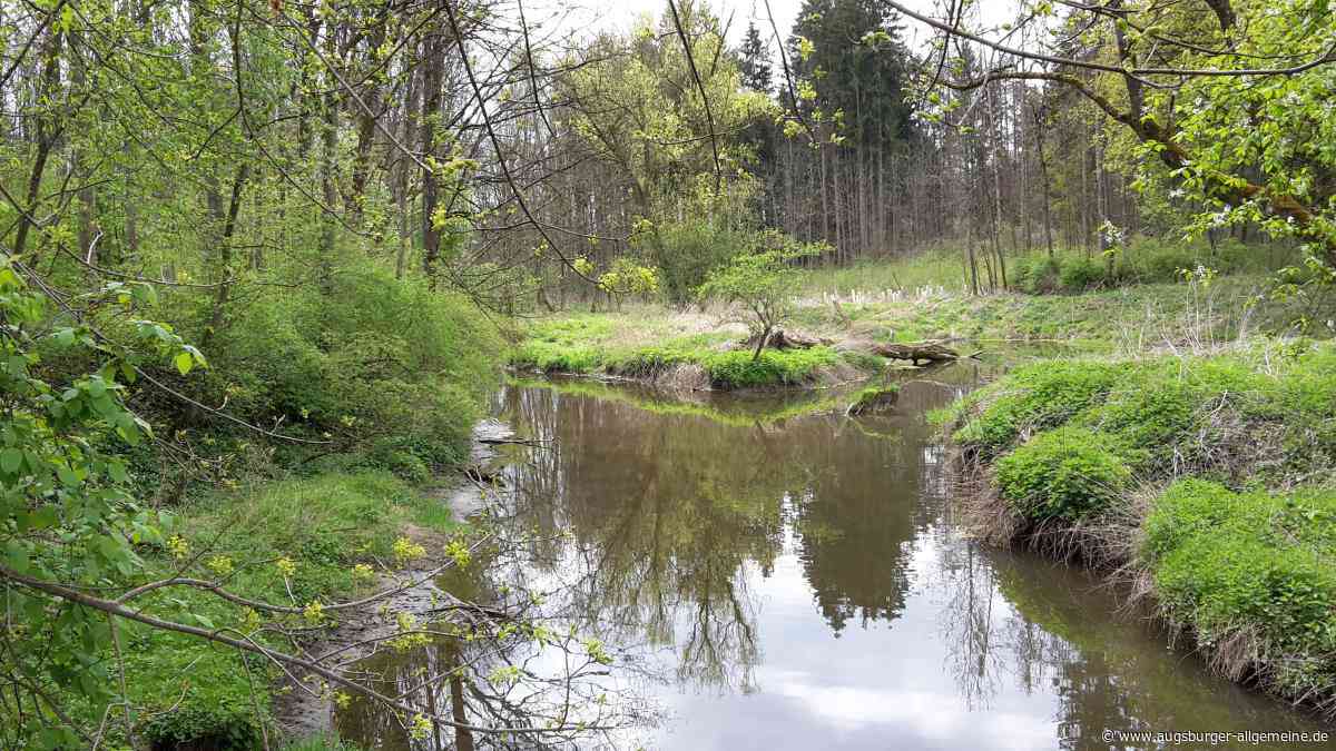 Die Leibi ist der Bach, der einen Römer überlebt hat
