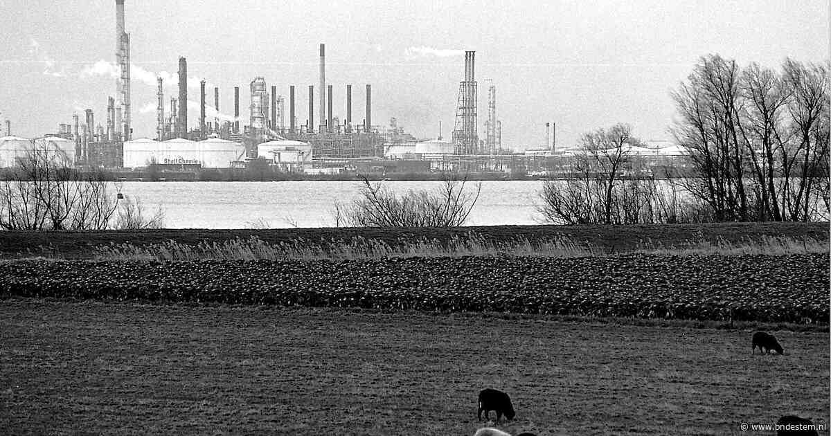 Chemiereus Shell werd als machtige spil nooit een strobreed in de weg gelegd