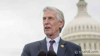 Democrat rips 'insanely corrupt' raid on Omar's home