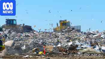 Billions in the bin as economy struggles with true cost of food waste
