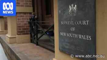 Council sued over alleged historical abuse at daycare services