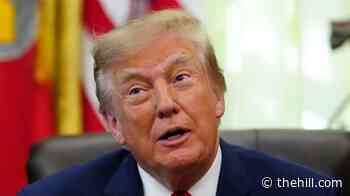Trump set to rally in Georgia to support Collins in Senate race