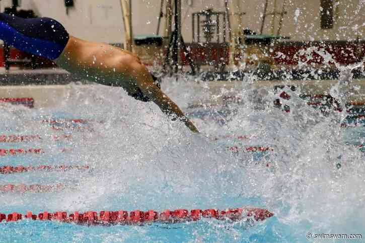 Five Inducted into Maine Swimming and Diving Hall of Fame as Part of 2026 Class