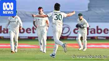 Refusing to yield momentum, ruthless Australia is perfectly set for victory