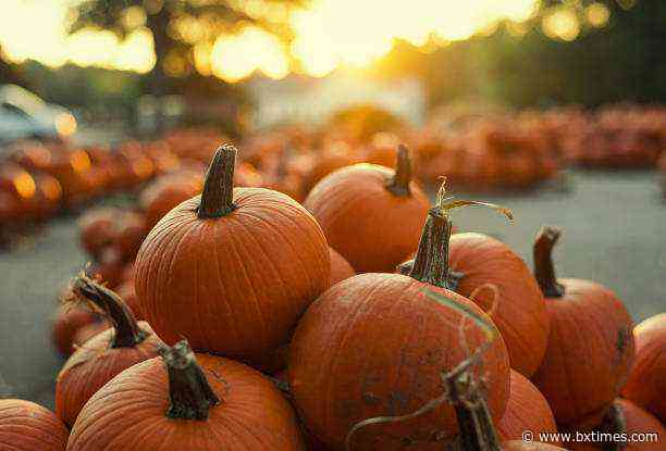 What’s happening | Boots in the Boogie Down, Fordham Road Fair, Rita Moreno and more
