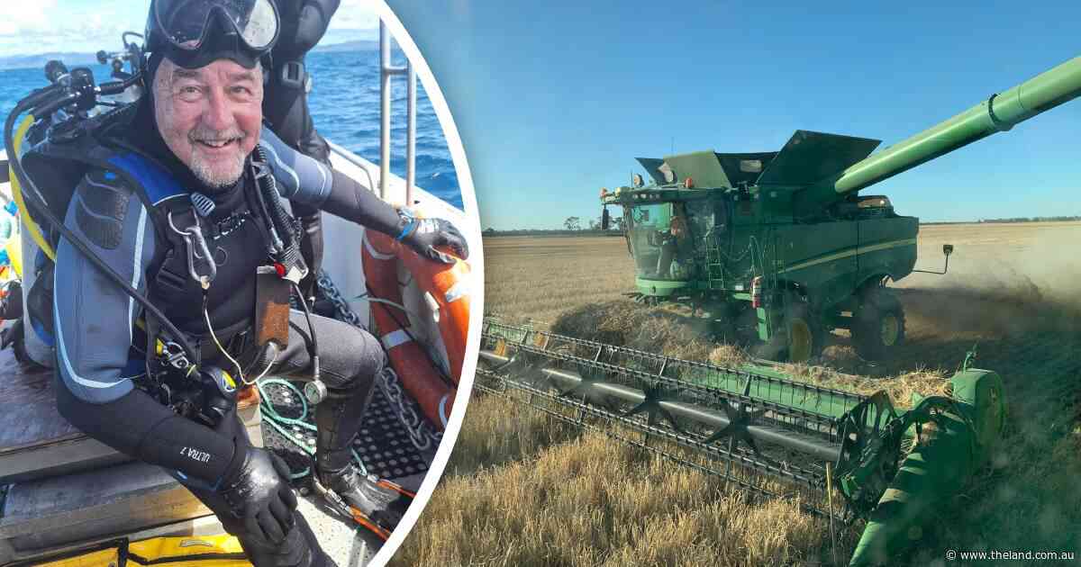 Discipline and commitment: how a military mindset lifts the harvest