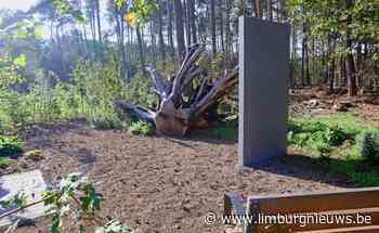 In Limburg: Natuurbegraafplaats Eindakker Pelt