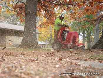Perrysburg to start leaf collection efforts