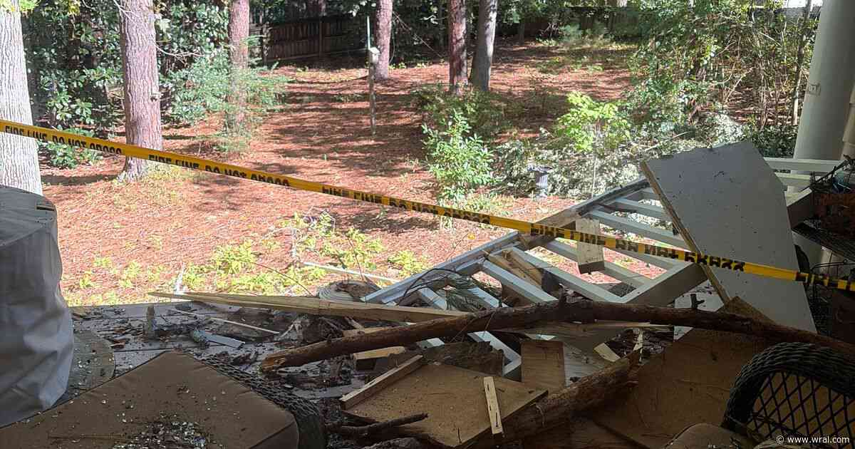 'I thought we had lost him': Cary couple, pets survive tree crashing through home