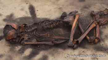 Ancient bones reveal the terrifying reality of life in a Viking village: Scientists uncover evidence of smashed skulls, shattered limbs and a woman whose leg was hacked in half