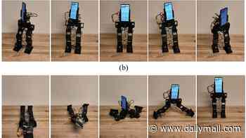 The selfie stick is dead! Scientists create two-legged robot that carries your phone and follows you around