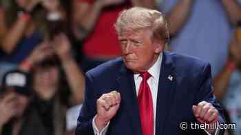 Trump says he ‘never thought’ he’d have to hold rallies again