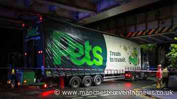 Main road cordoned off as Pets at Home lorry wedged under railway bridge