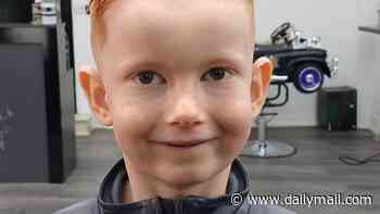 Boy, six, died after he fell onto road while riding bike and was struck by Ford Transit tipper, inquest hears
