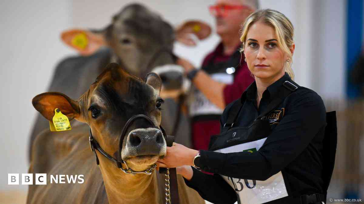 In pictures: Dairy displays and Prince William