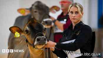 In pictures: Dairy displays and Prince William