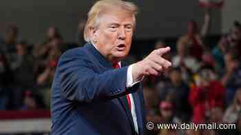 Trump lashes out at fury over Putin diesel deal and says 'the EU paid Russia $250 billion for energy - Always, America first'
