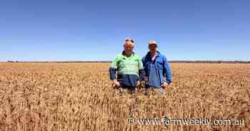 Fallow paddocks help the Flannagans beat the winter dry and manage moisture
