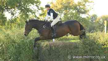 Horse ridden by Team GB two-time Olympic gold medal winner Laura Collett dies in crash