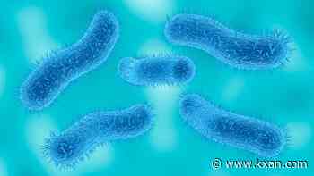 What is shigellosis? Stomach bug spread during sex is growing more resistant