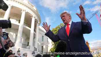 Trump: Putin will Deal mehr als Selenskyj