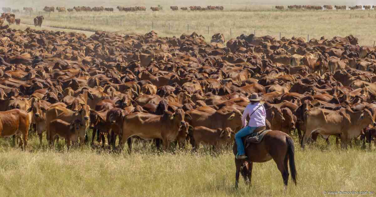 US carries the load as safeguards in Asia reshape Australia's beef exports