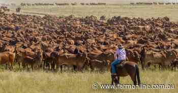 US carries the load as safeguards in Asia reshape Australia's beef exports