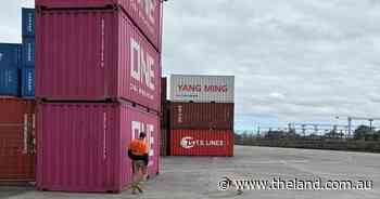 Biosecurity team react after red imported fire ant nest found at freight site