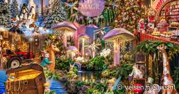 Kerstmagie al volop betoverend bij Global Garden Zwaanshoek