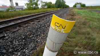 Train derailment south of Saskatoon under investigation