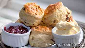 I asked chefs for the best way to make tall and fluffy scones — 1 ingredient