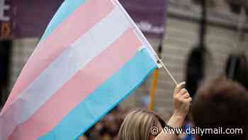 More than 30 types of gender reassignment surgery could be funded by Aussie taxpayers at a cost of up to $80,000 each